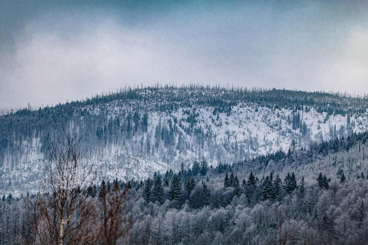Ferienwohnung Am Ilztal Hutthurm Bagian luar foto